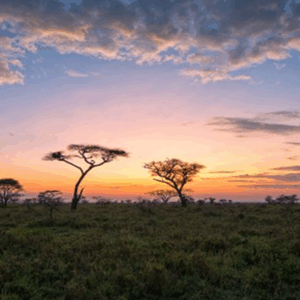 Relax en Zanzíbar, Kenia y Tanzania – Safari de 15 días